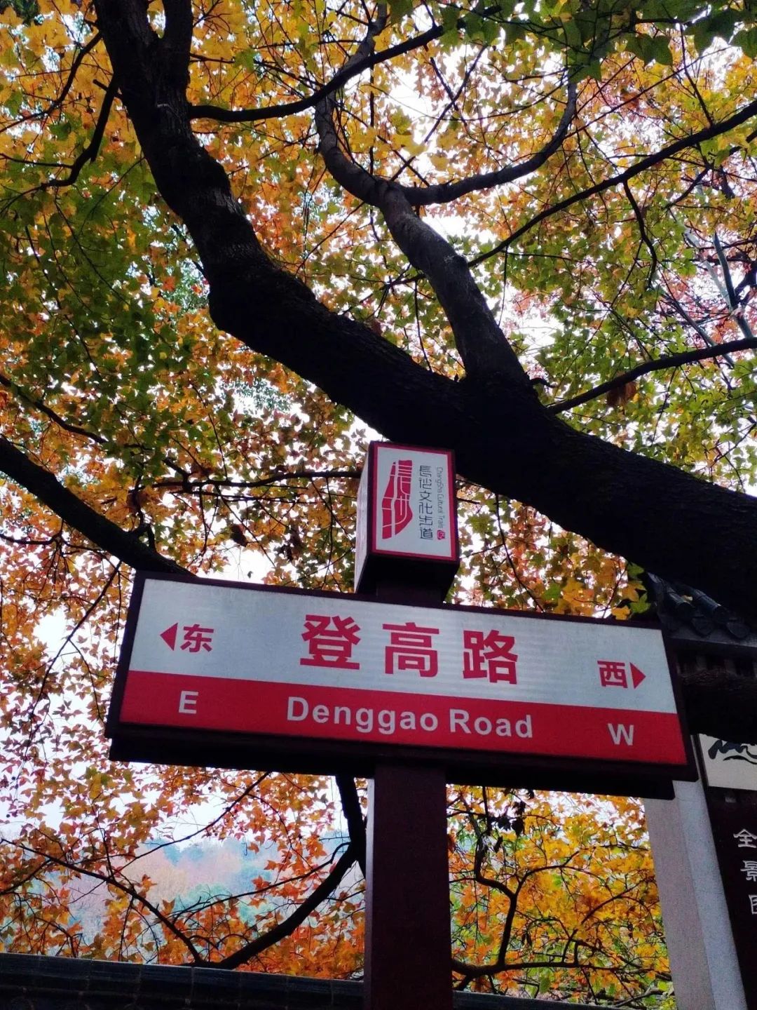 DƬ